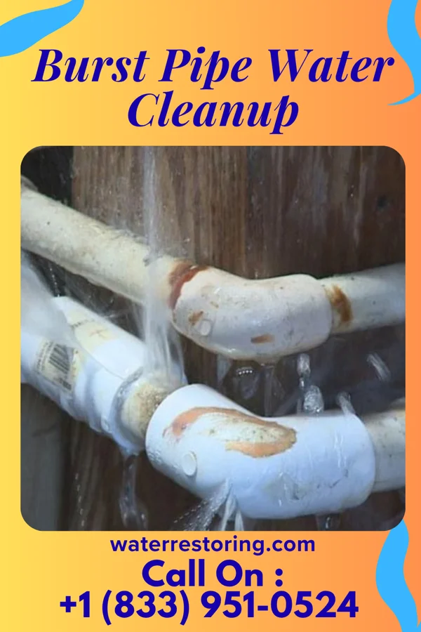 Burst Pipe Water Cleanup in Mason, OH