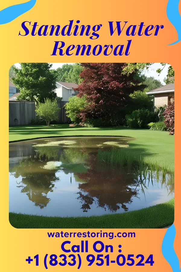 Standing Water Removal in Mason, OH